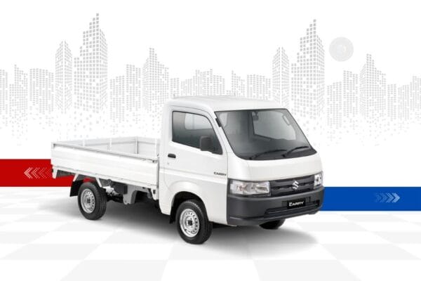 New Carry Pick Up New Carry Pick Up